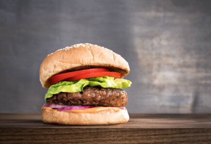 EU plans would ban terms like vegan burger